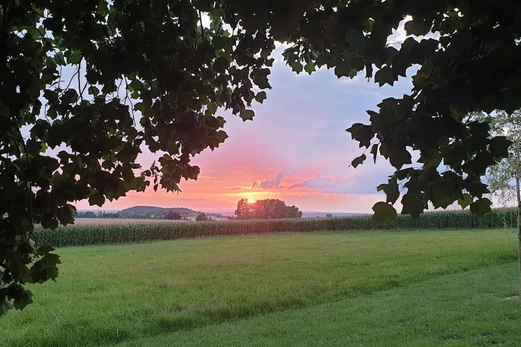 Frejairolles House | Gîte CASTANDEL LE HAUT