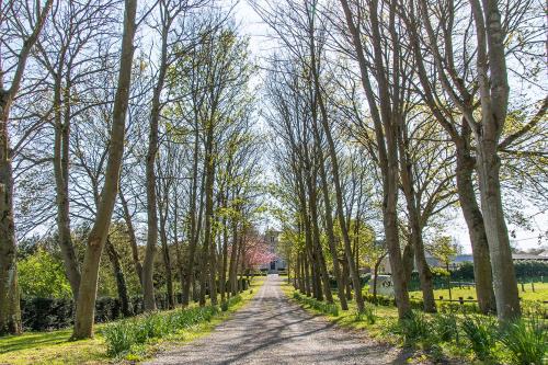 Ryes House | Gîte Cheval doré dans la ferme