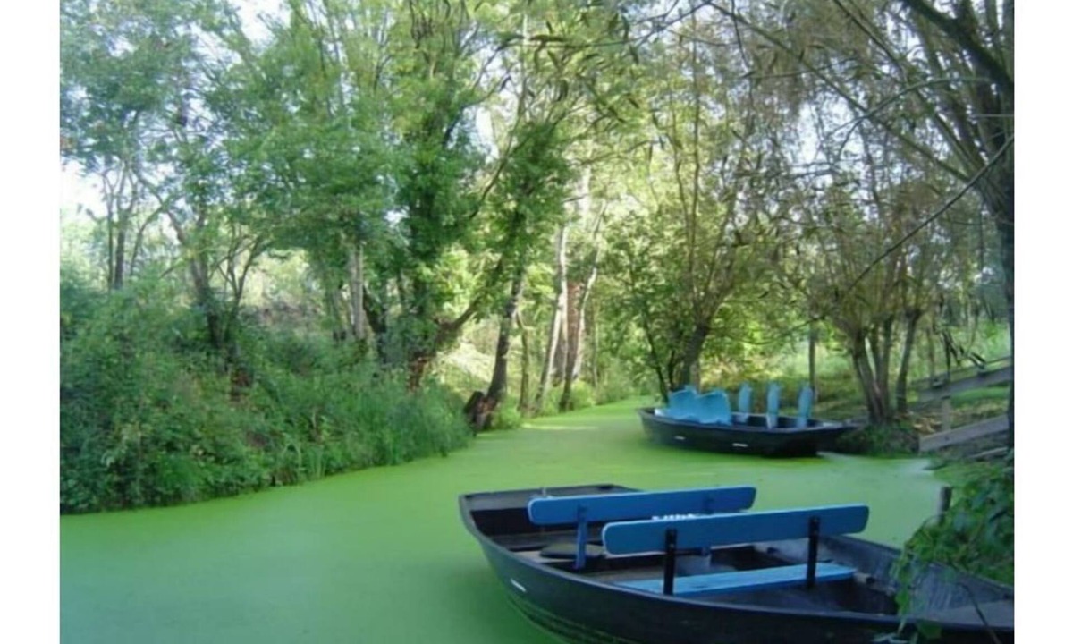 Maillezais House | Gîte Coté Marais