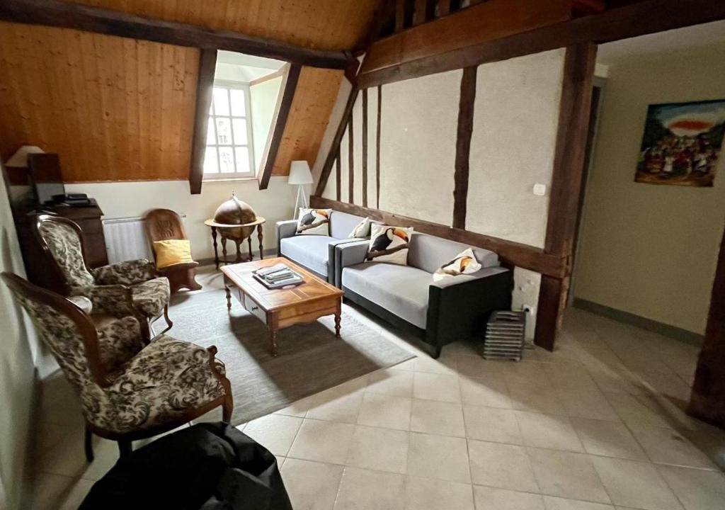 Amboise Apartment | Gîte de charme au cœur d'Amboise avec Wi-Fi - FR-1-381-250