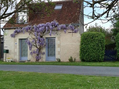 Luzille House | Gîte de charme avec jardin, proche Chenonceau et Beauval - FR-1-381-303