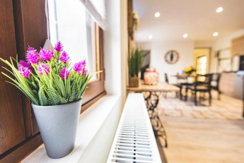 Vinay Apartment | Gîte de la Liberté