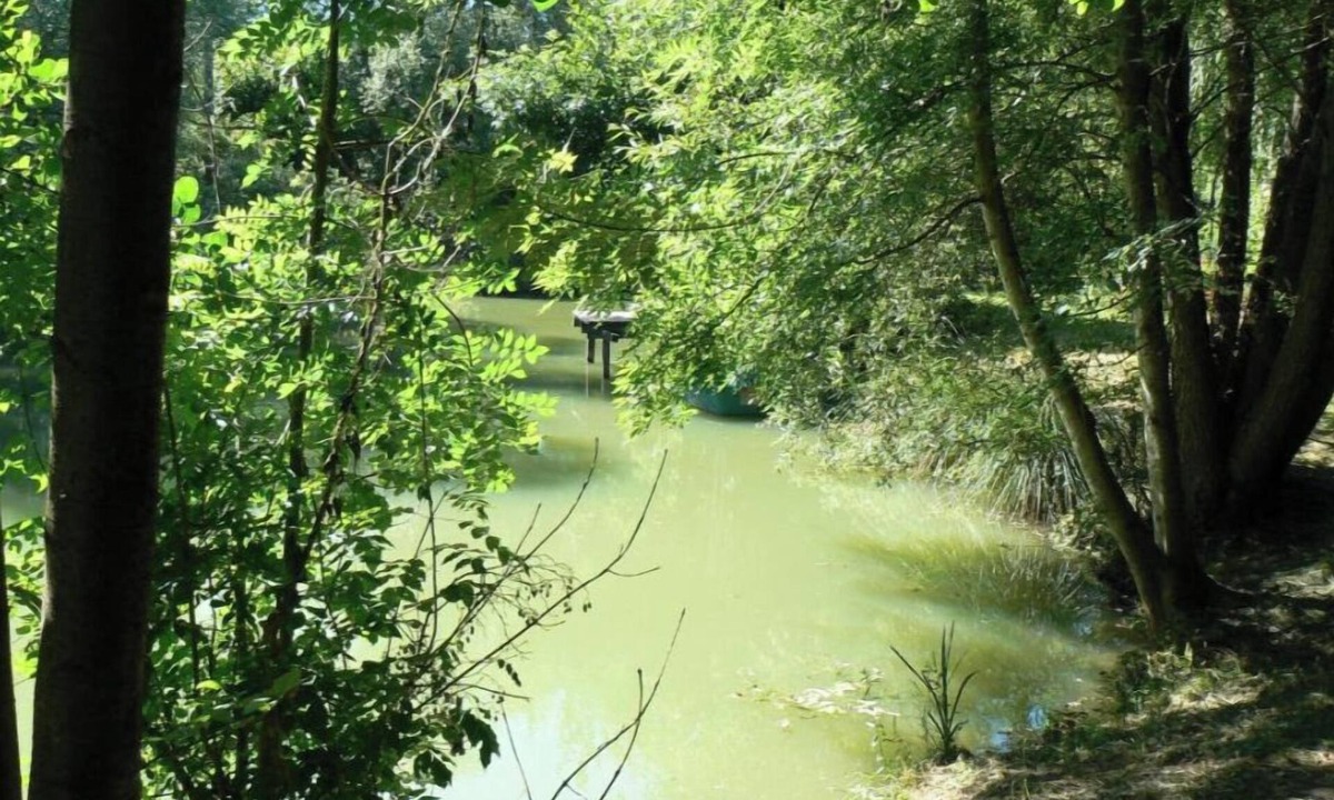Sampigny House | Gîte de la Maison de L'étang