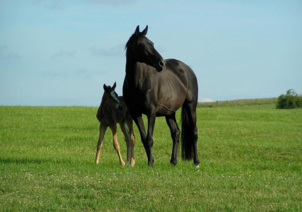 Balleville House | Gîte de Solama avec SPA