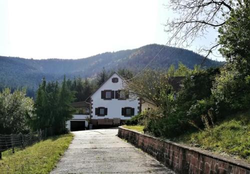 Wangenbourg-Engenthal Apartment | Gîte des abeilles du Kohlberg