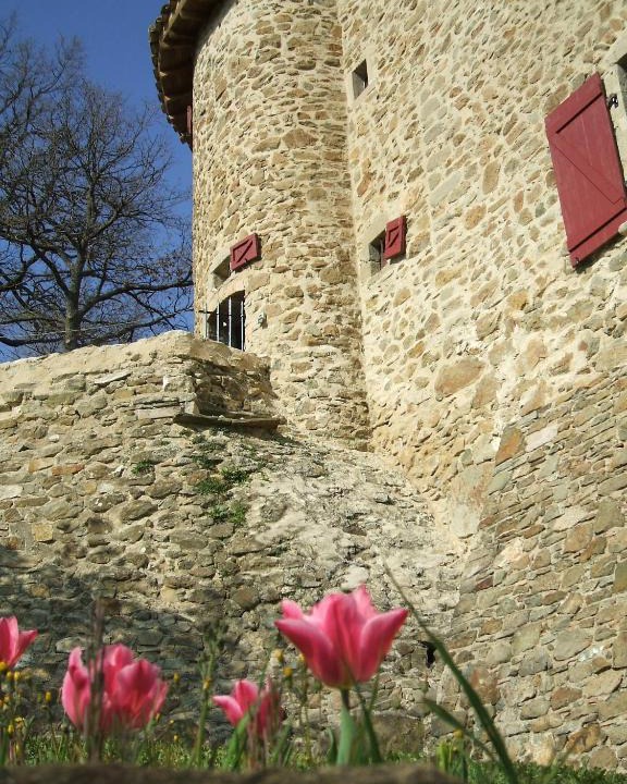 La Repara-Auriples Apartment | Gîte Donjon