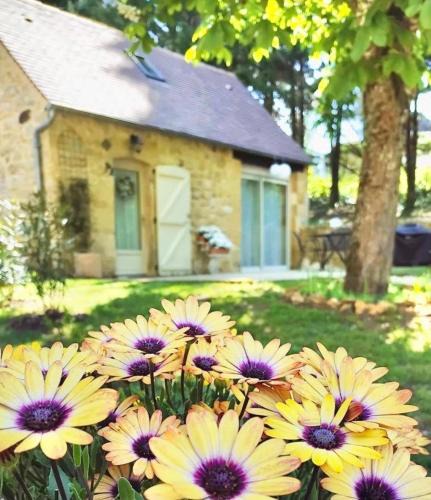 Payrignac House | Gîte du Moulin de Maître Pierre