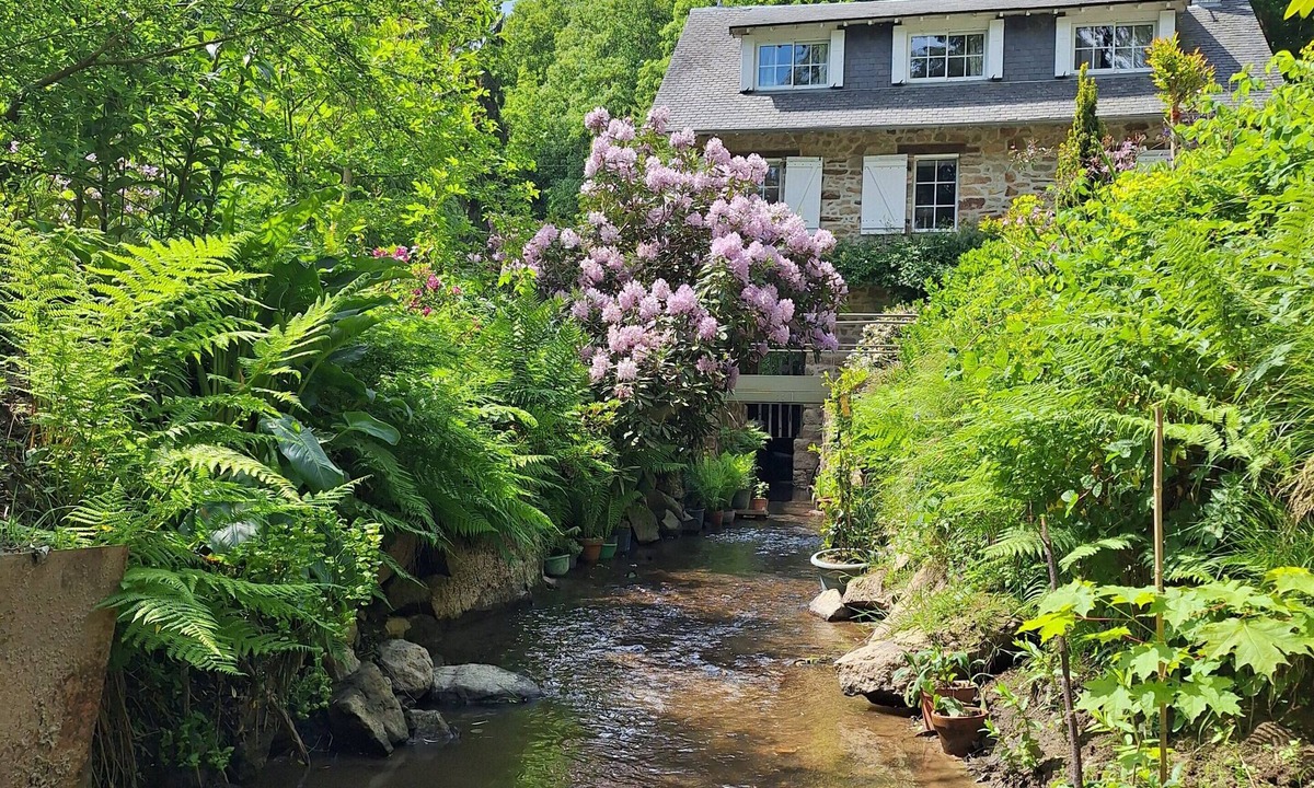 Oisseau House | Gîte du Moulin de Tanis – Nature Retreat in Mayenne