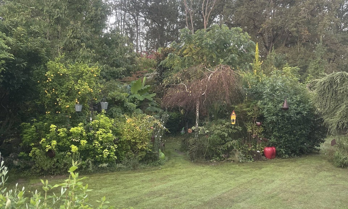 Samois-sur-Seine House | Gîte Entre Seine et Foret