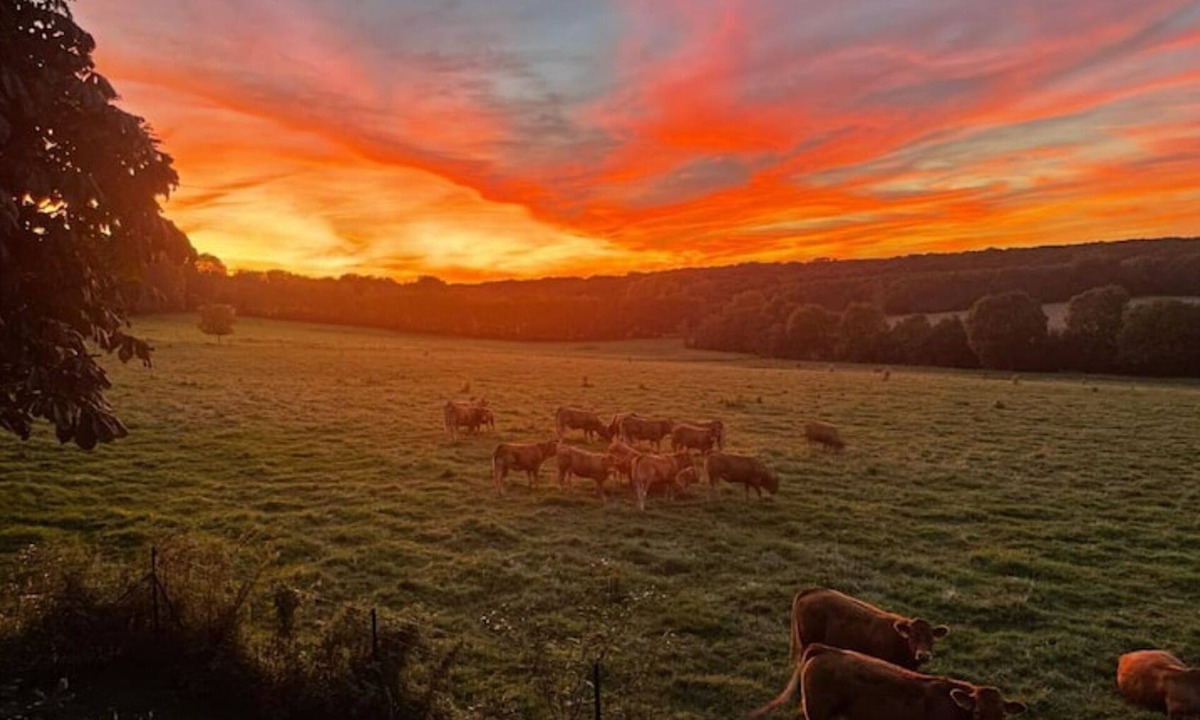 Maurevert House | Gîte et Chalet de Maurevert