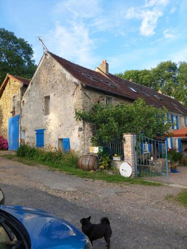 Sablonnieres Apartment | Gîte et chevaux