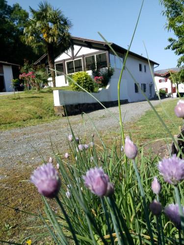 Osses House | Gîte Etxe Xuri