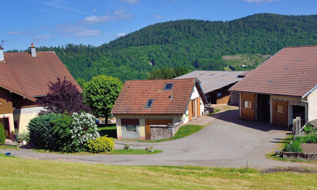 Saint-Maurice-sur-Moselle Apartment | Gîte Dans Ferme Équestre