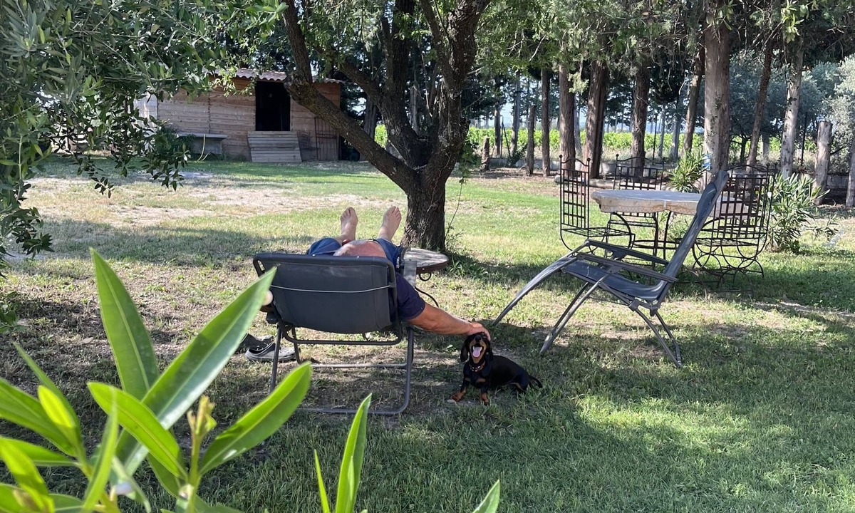 Violes Cottage | Gîte l'amandier enchanté