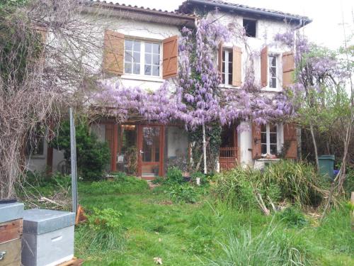 Eauze House | Gîte l'Estanquet