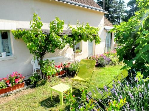 Mazieres-de-Touraine House | Gîte L'Orée du Bois : Charme Rural & Animaux Admis - FR-1-381-200
