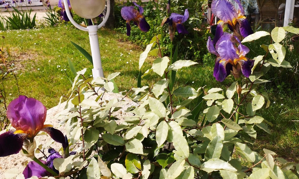 Monprimblanc House | Gîte La Burthe