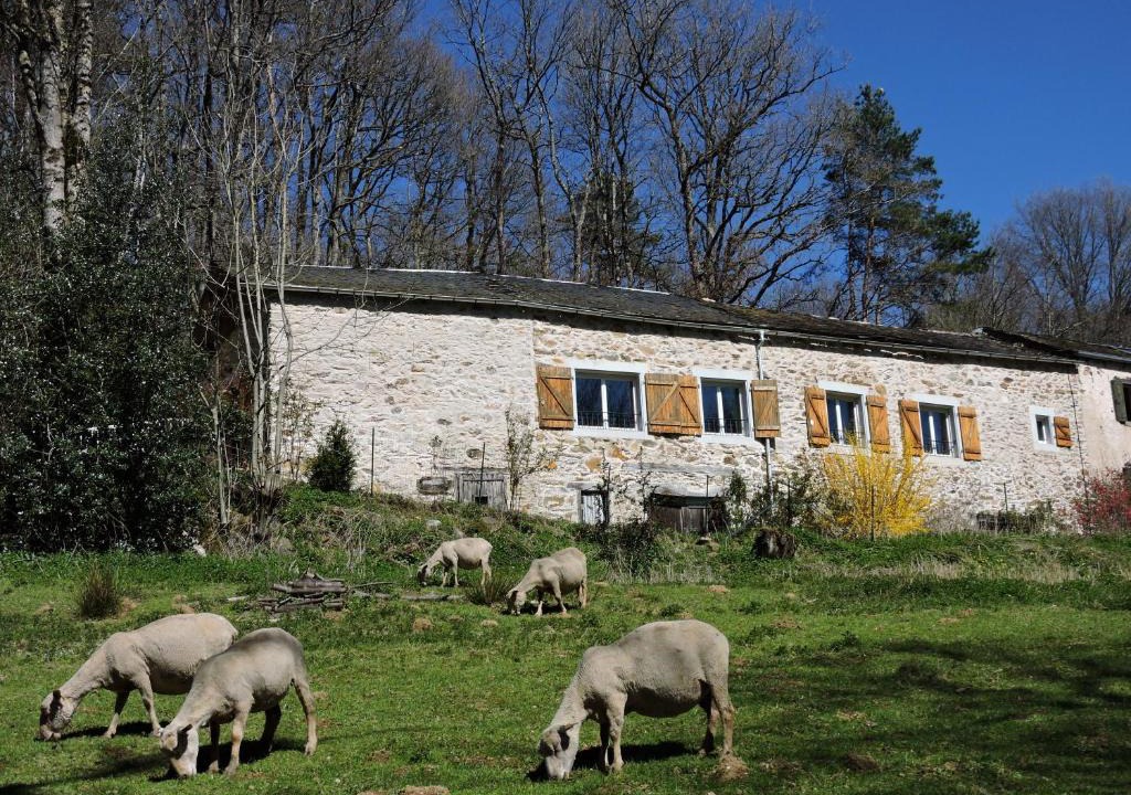 Montredon-Labessonnie House | Gîte LA FENIAL