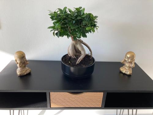 La Bouexiere House | Gîte La Perrière Zen