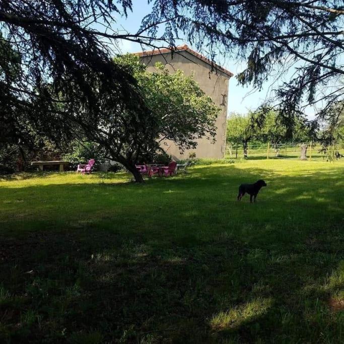 Saint-Julien-de-Coppel House | Gîte la roche paisible