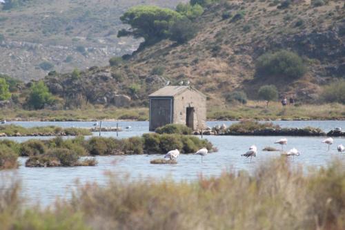Peyriac-de-Mer Apartment | Gîte La Tchoupetta