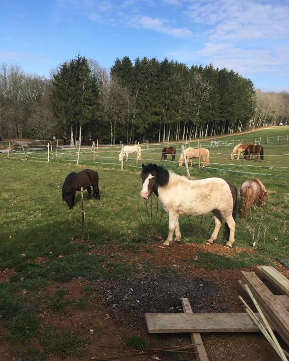 Givonne House | Gîte Le clos du bannet
