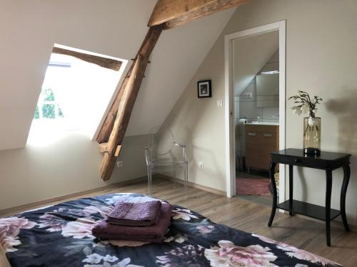 Marmagne Apartment | Gîte Le Domaine d Orphée