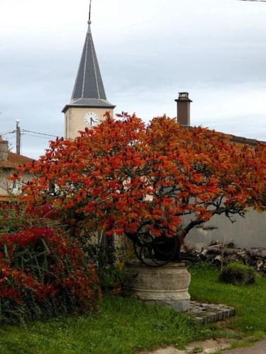 Burthecourt-aux-Chenes House | Gîte le Saloon du Vermois