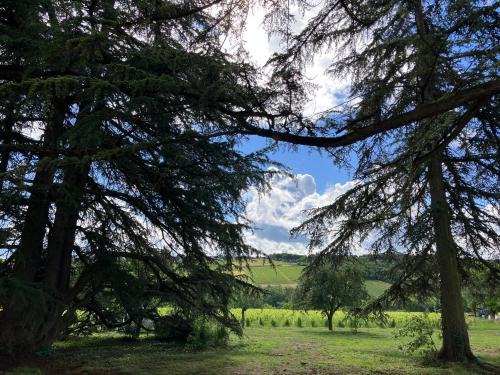 Les Echets Apartment | Gîte Les Cèdres