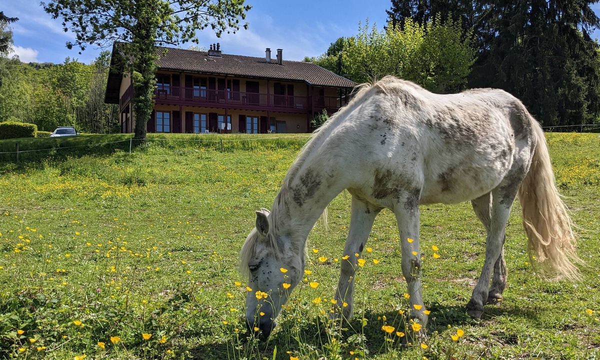 Maxilly-sur-Leman House | Gîte Les Vernes (11-13 pers.)