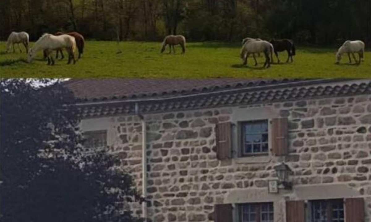 Sugeres House | Gîte Rustique et Confortable, en Plein Cœur du Livradois Forez