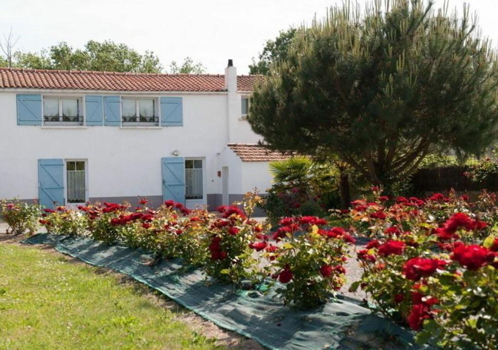 Saint-Urbain House | Gîte Saint-Urbain, 3 pièces, 4 personnes - FR-1-426-297