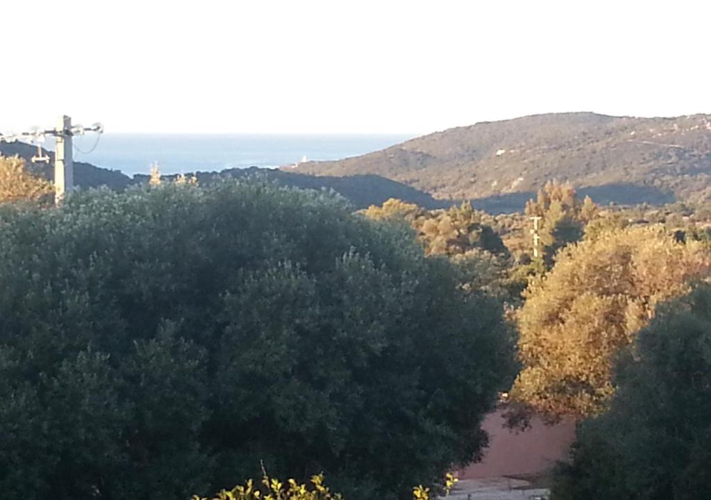 Monacia-d'Aullene Apartment | Gîte Tomasini