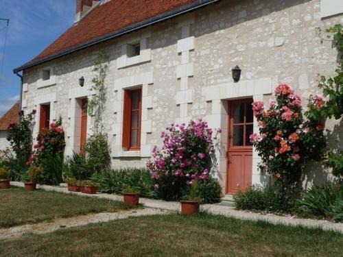 Saint-Senoch House | Gîte Tourangeau près de Loches avec Cheminée et Jardin - FR-1-381-40
