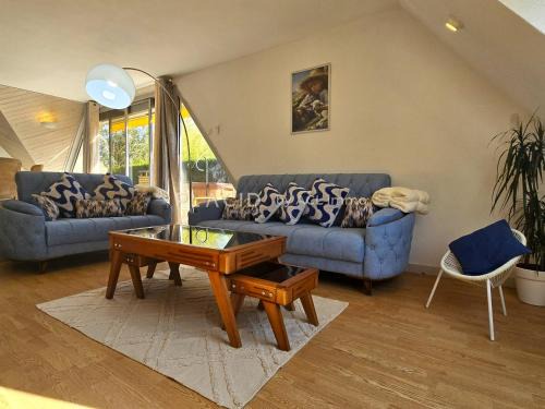 Souligne-Flace House | Gîte Valia - 10 pers. - piscine - jacuzzi