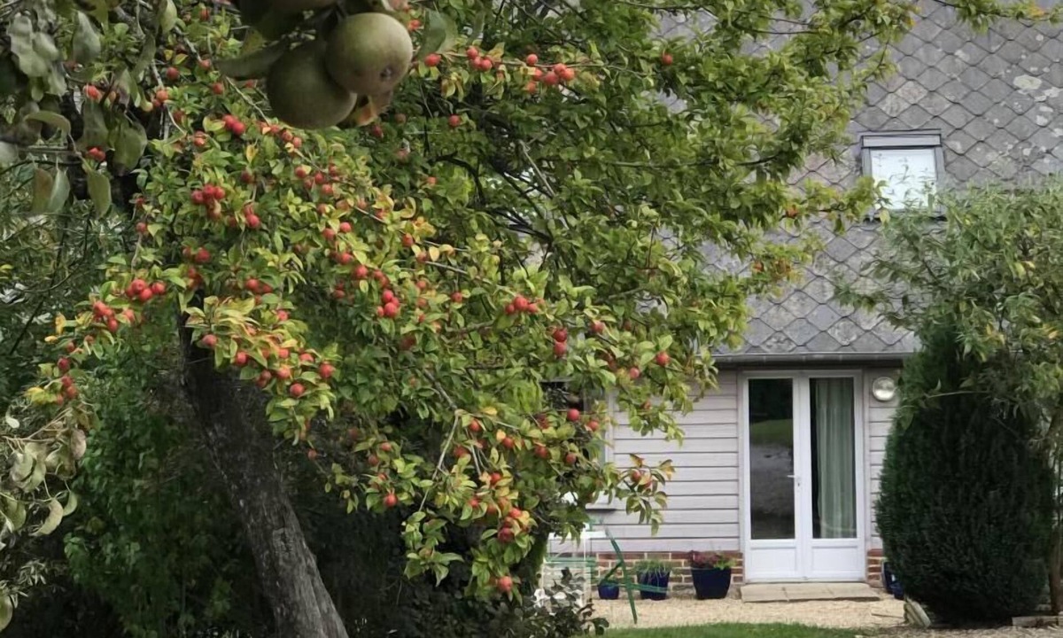 Ancretteville-sur-Mer House | Gîtes de France® - Forever is not too long