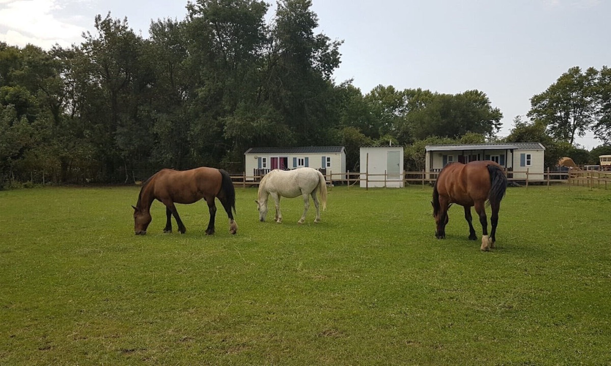 Le Cailar House | Gîtes le Petit Paradis