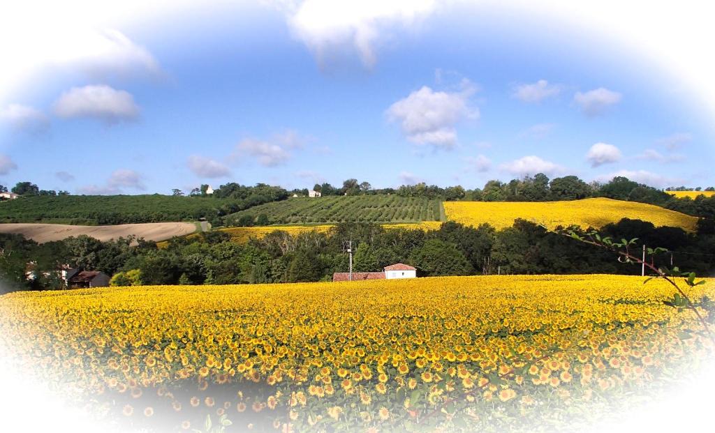 Feugarolles House | Gîtes Lencouet
