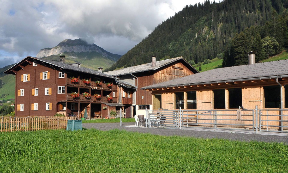 Ascharina Apartment | Gürgetschhof, (St. Antönien). by Interhome