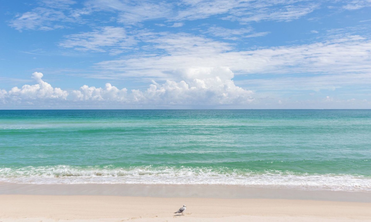 Mid Beach Apartment | GA Ocean Villa