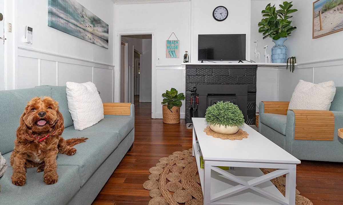 Mallacoota House | Gabo Views waterfront.