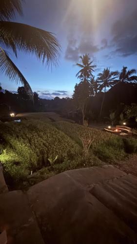 Munduk House | Gala Munduk Guest House