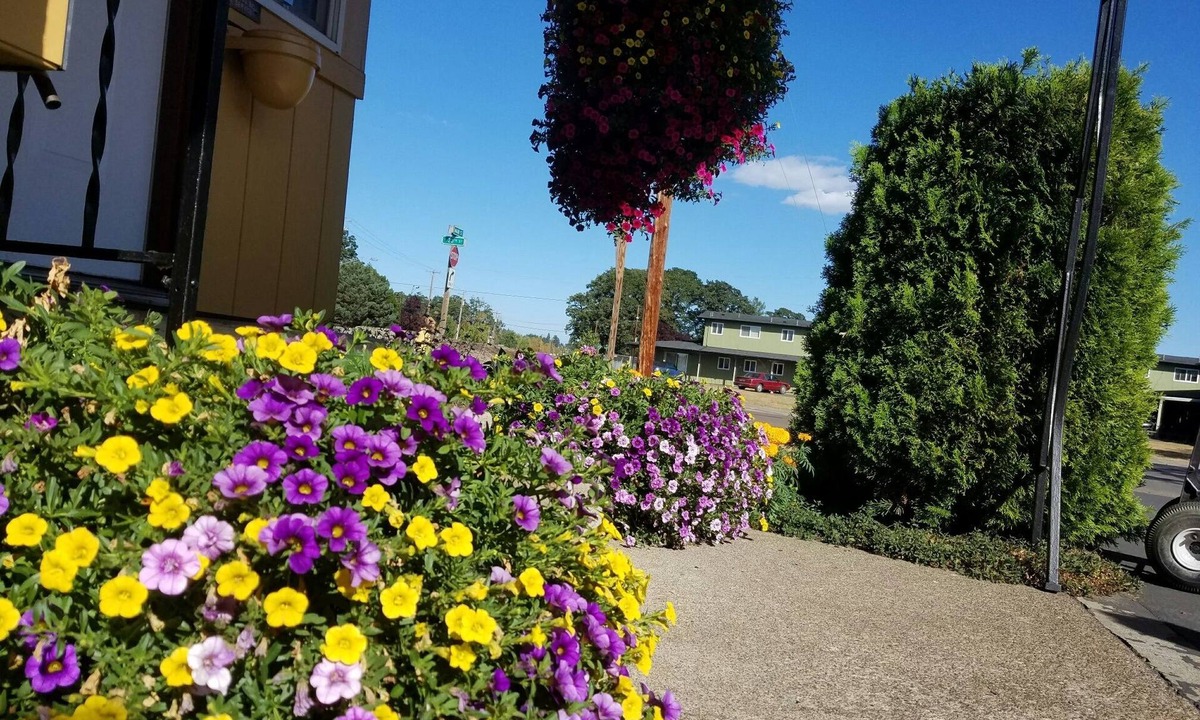 Corvallis Hotel | Galaxie Motel