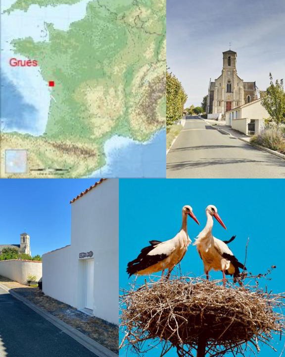 Grues Apartment | Galta des Matrus Appartement cosy 8kms de l Océan