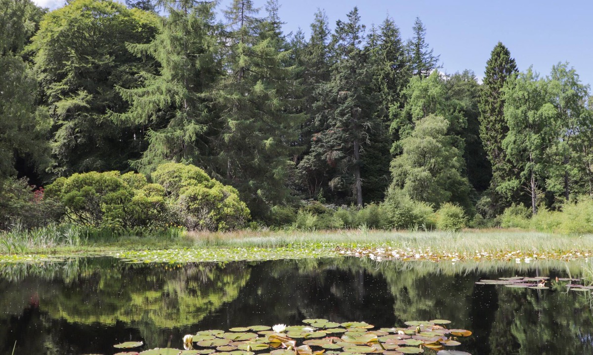 Elgin Cottage | Garden Cottage