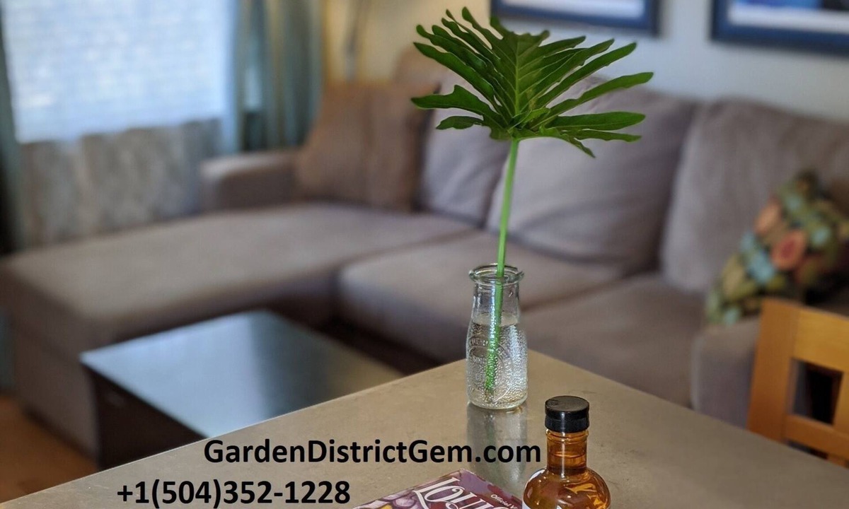 Faubourg Delassize Condo | Garden District Gem Steps from the St.Charles Streetcar visit GardenDistrictGem