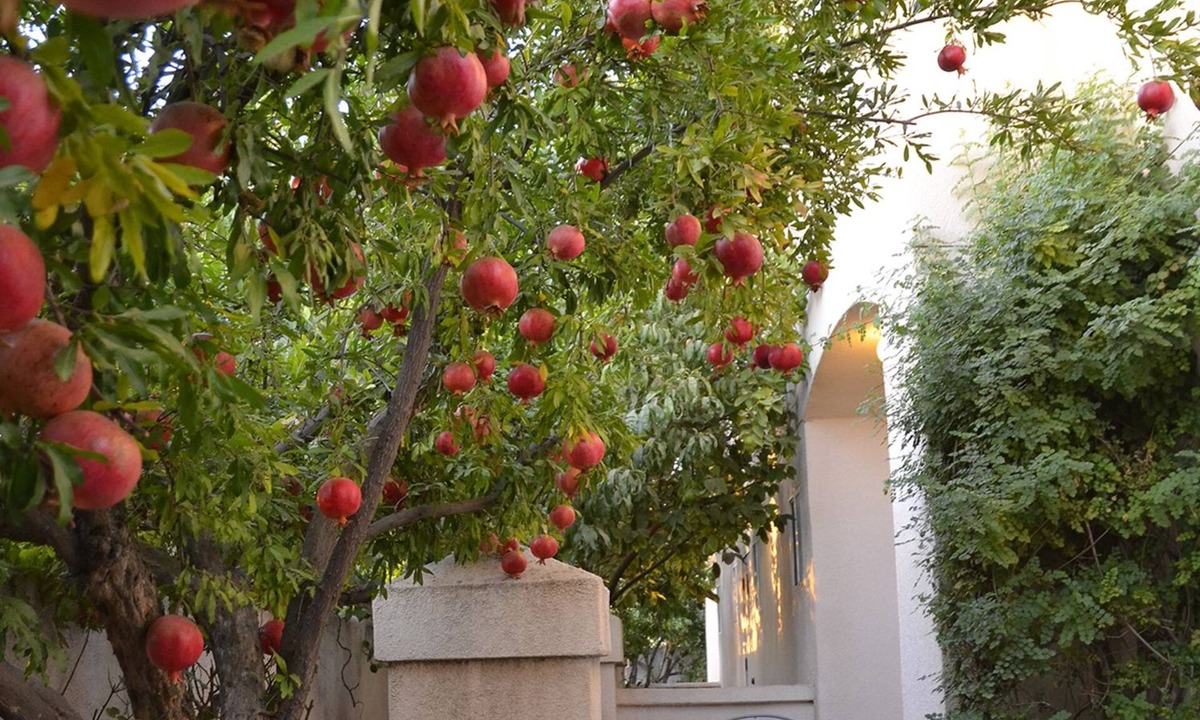 Fresno Hotel | Garden Inn and Suites