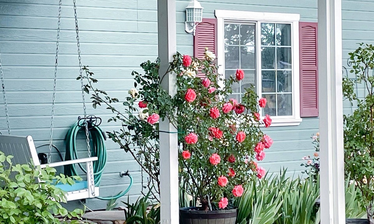 Valley Springs Bed & Breakfast | Garden Room at Bed & Breakfast