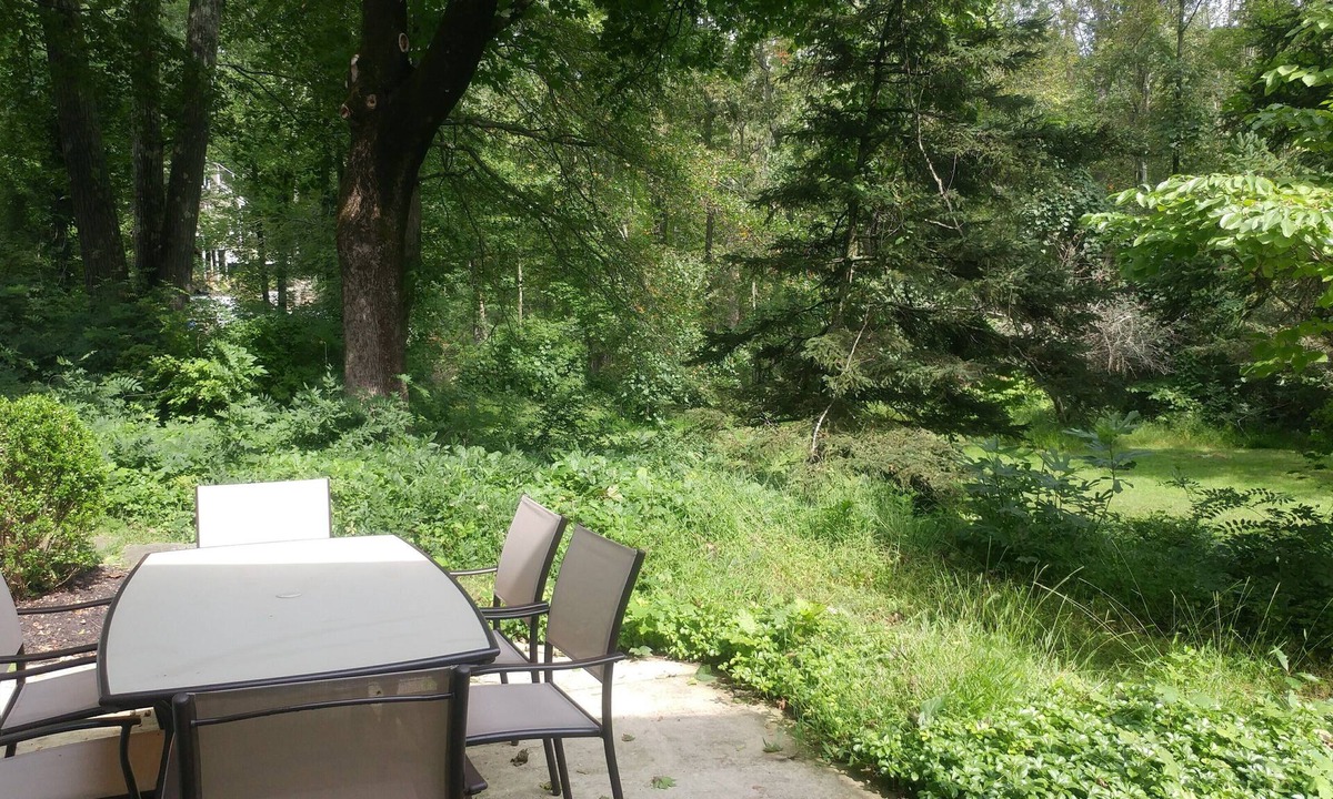 Town of North Castle Apartment | Garden Studio with Private Full Bath & Sauna. Self check-in.