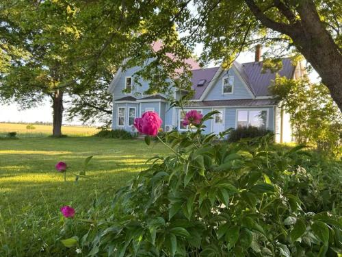 Borden-Carleton Apartment | Garden View near Confederation Bridge and Beaches